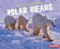On The Hunt With Polar Bears - Preview