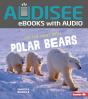 On The Hunt With Polar Bears - Preview