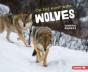 On The Hunt With Wolves - Preview