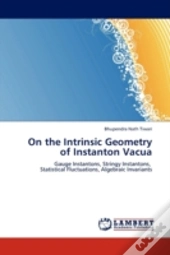 On The Intrinsic Geometry Of Instanton Vacua