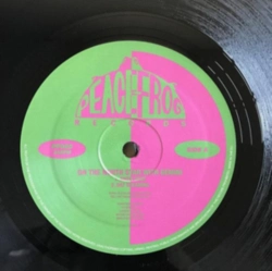 Capa do artigo On the North Star With Gemini - Vinil