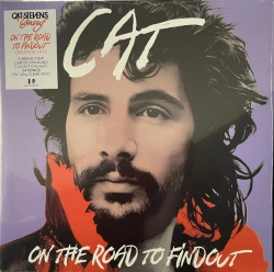 Capa do artigo On The Road To Findout - Vinil