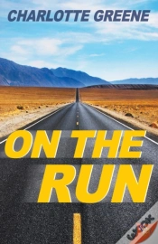 Capa do artigo On The Run