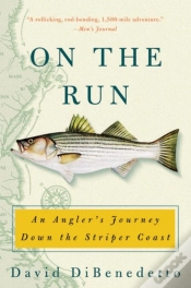 Capa do artigo On The Run