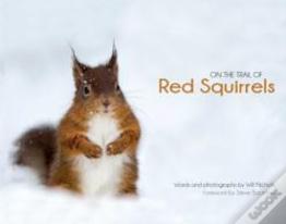 On The Trail Of Red Squirrels