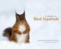 On The Trail Of Red Squirrels - Preview