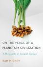 On The Verge Of A Planetary Civilization - Preview