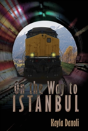 On The Way To Istanbul - Preview