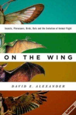 Capa do artigo On The Wing