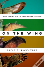 Capa do artigo On The Wing