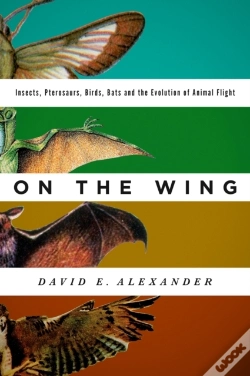 Capa do artigo On The Wing