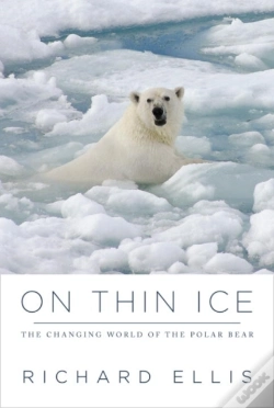 Capa do artigo On Thin Ice