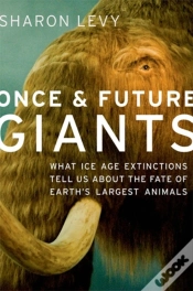 Capa do artigo Once And Future Giants
