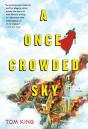 Once Crowded Sky - Preview