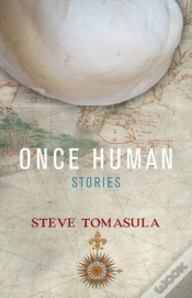 Capa do artigo Once Human
