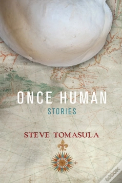 Capa do artigo Once Human