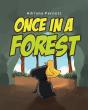 Once In A Forest - Preview