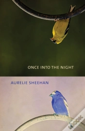 Capa do artigo Once Into The Night