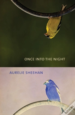 Capa do artigo Once Into The Night
