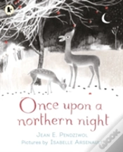 Capa do artigo Once Upon A Northern Night