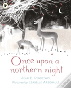 Capa do artigo Once Upon A Northern Night