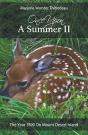 Once Upon A Summer Ii - The Year 1890 On Mount Desert Island - Preview