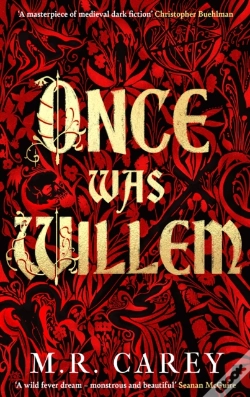 Capa do artigo Once Was Willem