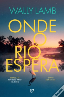 Capa do artigo Onde o Rio Espera