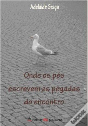 Capa do artigo Onde os Pés Escrevem as Pegadas do Encontro