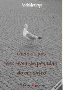 Capa do artigo Onde os Pés Escrevem as Pegadas do Encontro