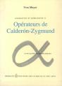 Ondelettes Et Opérateurs, Volume 2 : Opérateurs De Calderon-Zygmund - Preview