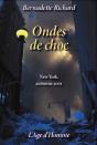 Ondes De Choc - Preview