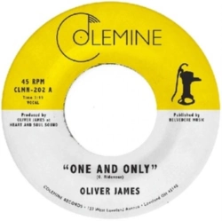 Capa do artigo One and Only - Vinil
