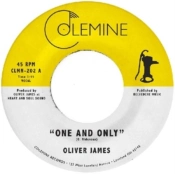 Capa do artigo One and Only - Vinil