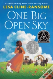 Capa do artigo One Big Open Sky