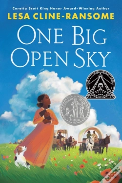 Capa do artigo One Big Open Sky