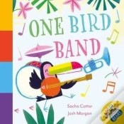 Capa do artigo One Bird Band