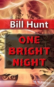 Capa do artigo One Bright Night