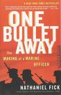One Bullet Away - Preview