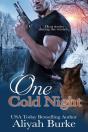 One Cold Night - Preview