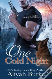 Capa do artigo One Cold Night
