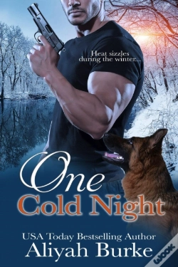 Capa do artigo One Cold Night