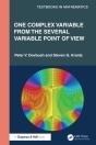One Complex Variable From The Several Variable Point Of View - Preview