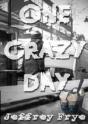 One Crazy Day - Preview