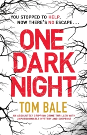 Capa do artigo One Dark Night