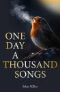One Day A Thousand Songs - Preview