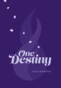 One Destiny - Preview