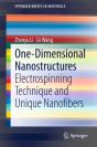 One-Dimensional Nanostructures - Preview