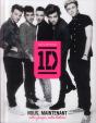 One Direction  Nous Maintenant - Preview