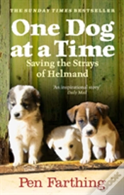 Capa do artigo One Dog At A Time